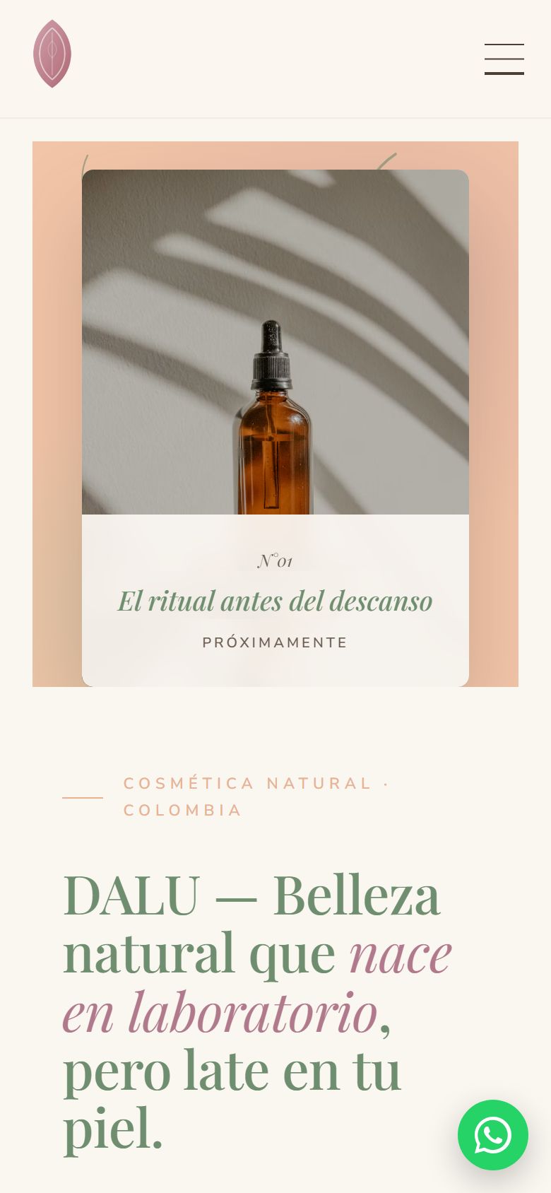 Dalú homepage on mobile